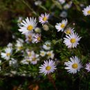 번창행정사 이미지