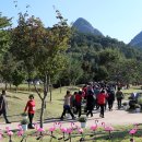 마이산도립공원 일원 이미지