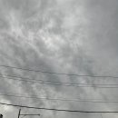 새차하기 좋은날 이미지