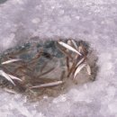 월산낚시터(월산저수지) 이미지