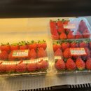 정성고기 과일포유 이미지