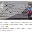 근 & 짐 | [노원PT/하계PT/중계PT] 근손실 ZERO! 다이어트 성공 비법 공개 (feat.하계동 플라이짐)