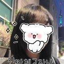 파보헤어 이미지