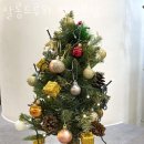 호계동미용실 살롱드루와 범계본점 가격 이벤트 업체 정보 후기
