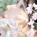 압구정-217 이미지