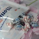 샤인몽스 이미지