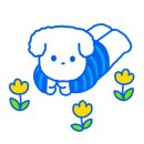 메이앤슈가(May&Sugar)