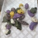 다솜 잔치 :) 함께라서 행복한 2025 자란다 가을잔치 ❤️ 이미지