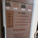 퇴촌메밀소바&막국수 | 신촌 소바 맛집 추천ㅣ소바연구소ㅣ납작소바, 들기름 메밀막국수 후기