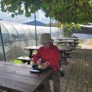 양촌농원 1농장 | 논산여행에서 한 체험-해오름농원, 아바바커피농장, 양촌와이너리, 도연요