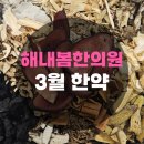 해내봄한의원 네이버블로그