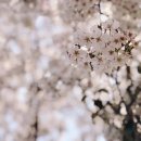 선흘 그곳 이미지