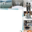 하얀낭만 중앙일보