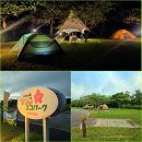태평양마트 | 태평양 감성캠프 츠츠지(つつじ) 에코파크 캠핑장_Higashi Azalea Eco Park, Okinawa