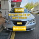 울산중고차수출 두바이무역, 장애인 차량등록을 위해 바로말소