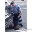 양지은농장 이미지