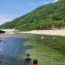 돌배야영장(제1야영장) 이미지