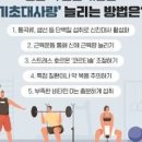성인 여자 남자 기초대사량 뜻 높이는 방법 근육량 늘리기 이미지