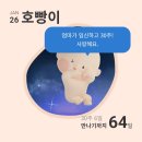 (주)크리스탈소프트 | ㅣ만삭사진 촬영, 서면 두쫀쿠, 부산 베이비페어 후기, 뉴나 넥스트시스템 카시트, 아띠에어 아기띠...