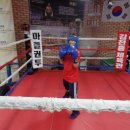 쌍룡복싱체육관 이미지