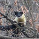 화당2리 이미지