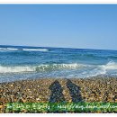 동해바다 이미지