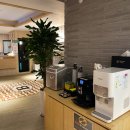 브라운도트거북섬점 이미지