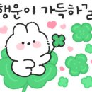 율전세계로약국 이미지