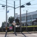 빌렛동산 이미지