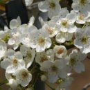 나주배박물관 이미지