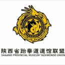 타이곤 태권도 체육관 이미지