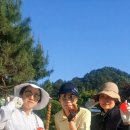 베테랑스크린골프 이미지