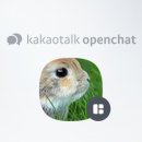 스테이즈컴퍼니 이미지