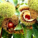 중앙학문병원 이미지