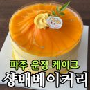 가온로 | 파주 운정 케이크 맛집 샹배베이커리 | 소문의 망고케이크 솔직 후기