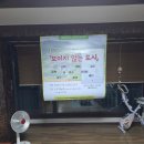 김홍식농장 네이버블로그