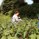 사창농장 이미지