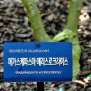 포화로 817 티스토리