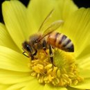 칠선펜션 이미지