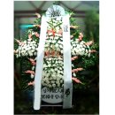 막곡리 복주병원 이미지