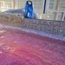 용평목욕탕 이미지