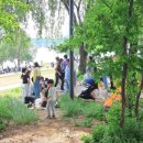 서정적 풍경 이미지