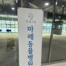마레동물병원 이미지