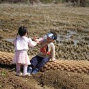 보라농장2 이미지