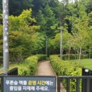 백리향24시 | [광교] 푸른숲도서관 책뜰 후기, 예약하기