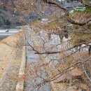D00272 네이버블로그