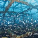 풍도_어촌체험마을 이미지