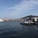 부산항 Daum카페