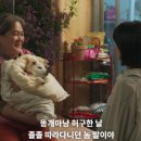 한나슈퍼 이미지