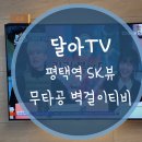 세븐일레븐 평택역SK뷰점 | 평택역 SK뷰 무타공 벽걸이 티비 설치 전국 지점이 있는 달아TV